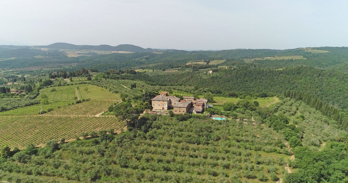 Immobilienkomplex mit Weinbergen